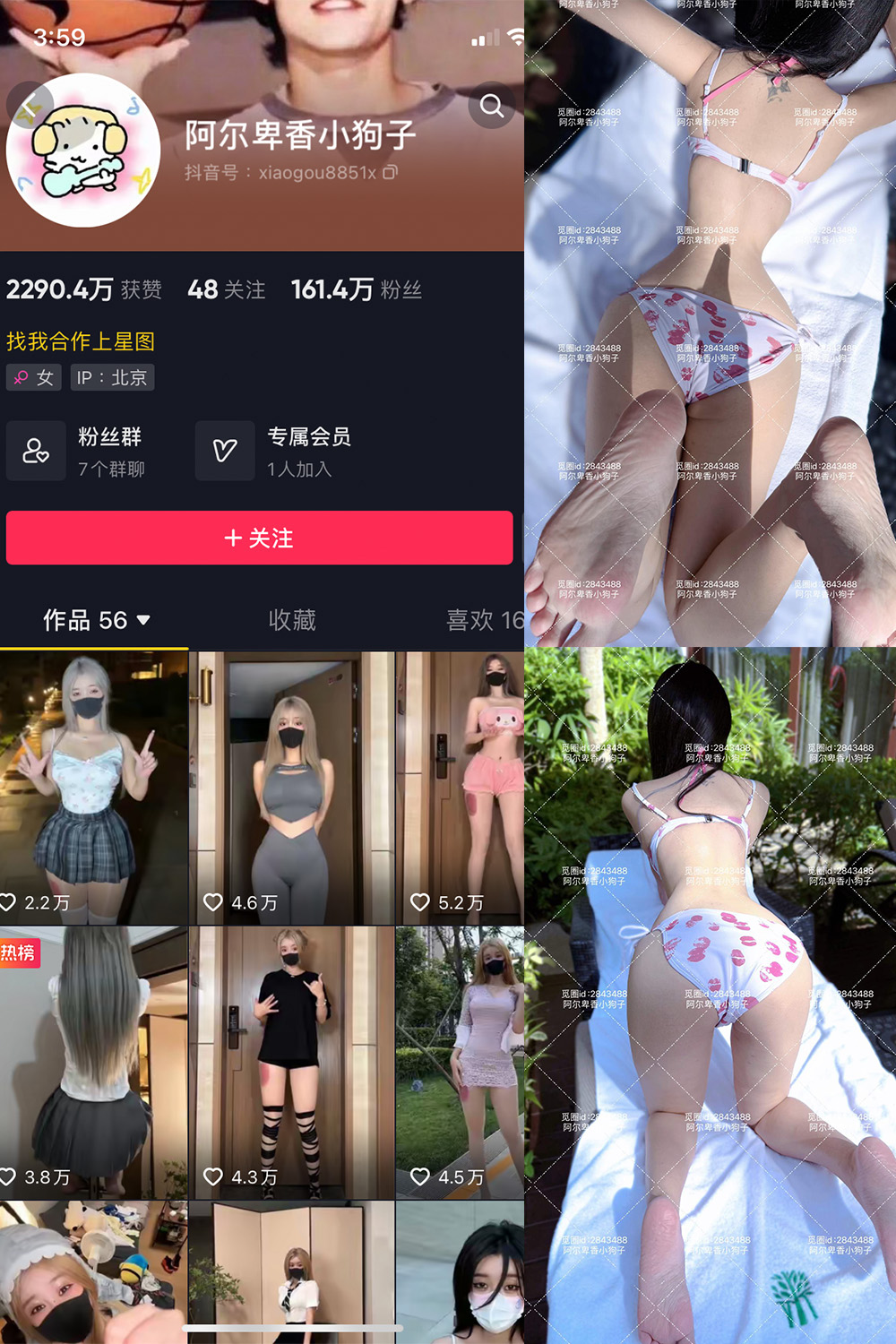 抖音 阿尔卑香小狗子 微密圈  NO.060期 【17P】最新至：2025.2.8-咪咪大车灯