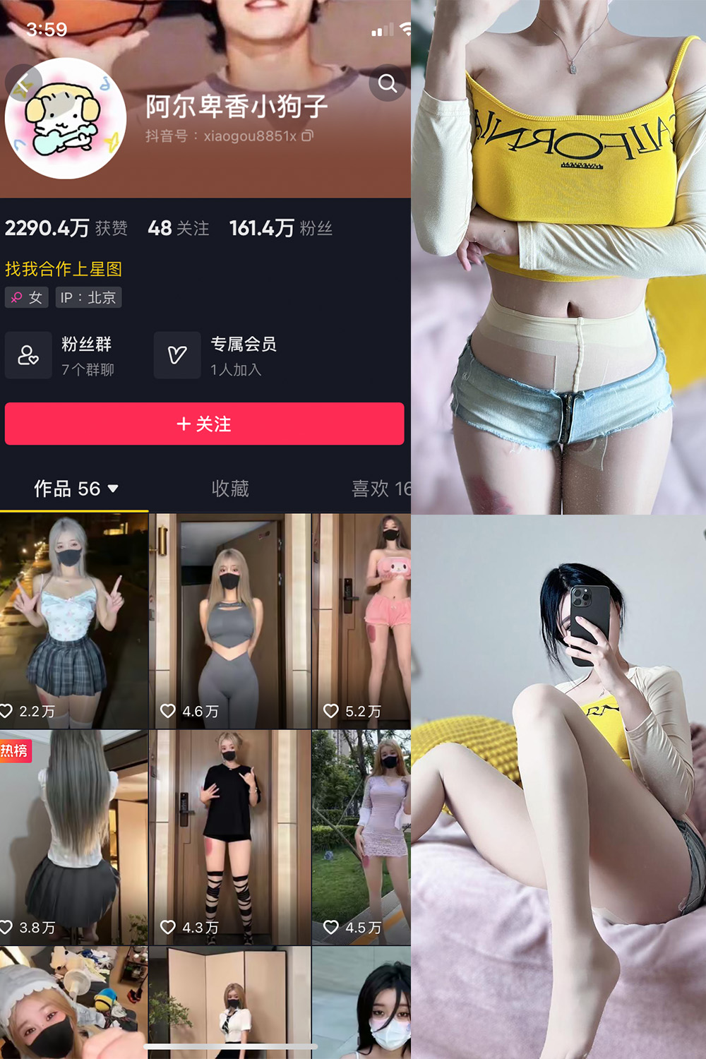 抖音 阿尔卑香小狗子 微密圈  NO.032期 【22P】-咪咪大车灯