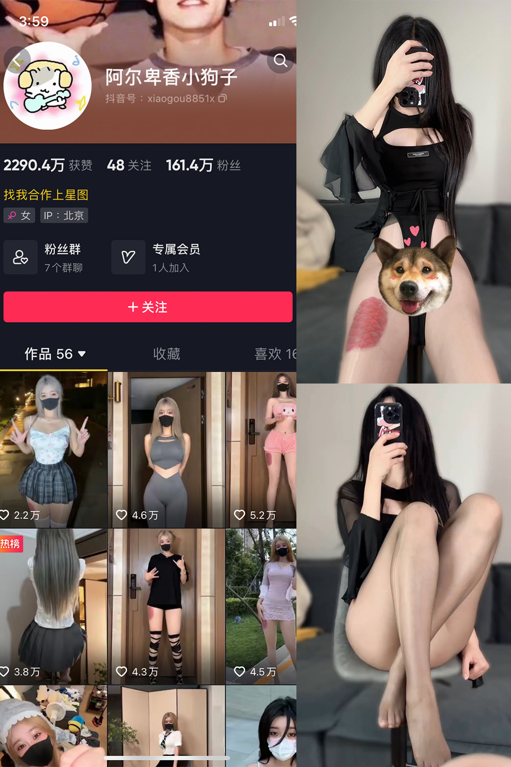 抖音 阿尔卑香小狗子 微密圈  NO.026期 【8P1V】最新至：2023.9.27-咪咪大车灯