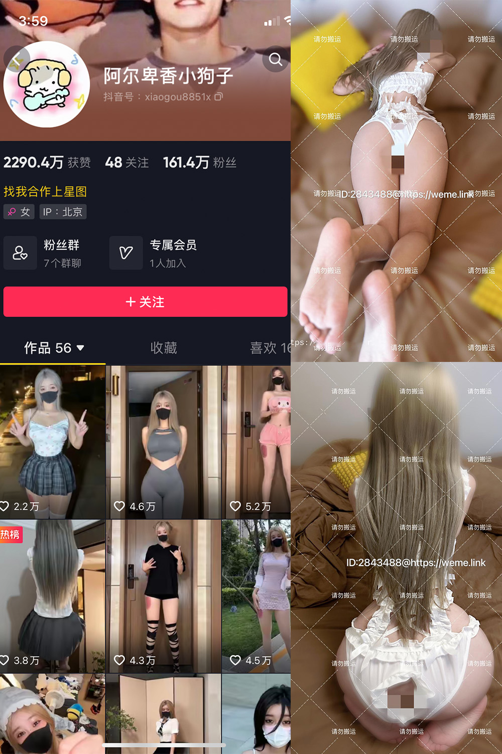 抖音 阿尔卑香小狗子 微密圈  NO.018期 【16P1V】最新至：2023.8.14-咪咪大车灯
