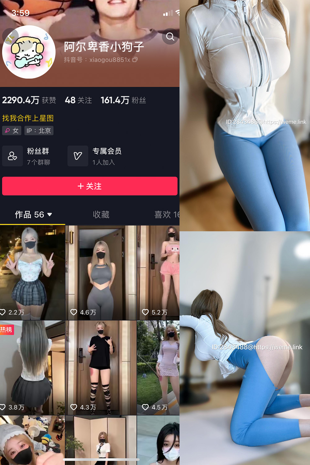 抖音 阿尔卑香小狗子 微密圈  NO.017期 【34P1V】-咪咪大车灯