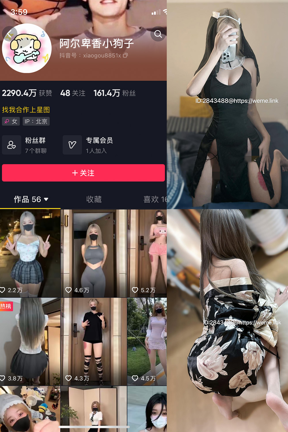 抖音 阿尔卑香小狗子 微密圈  NO.014期 【54P2V】-咪咪大车灯