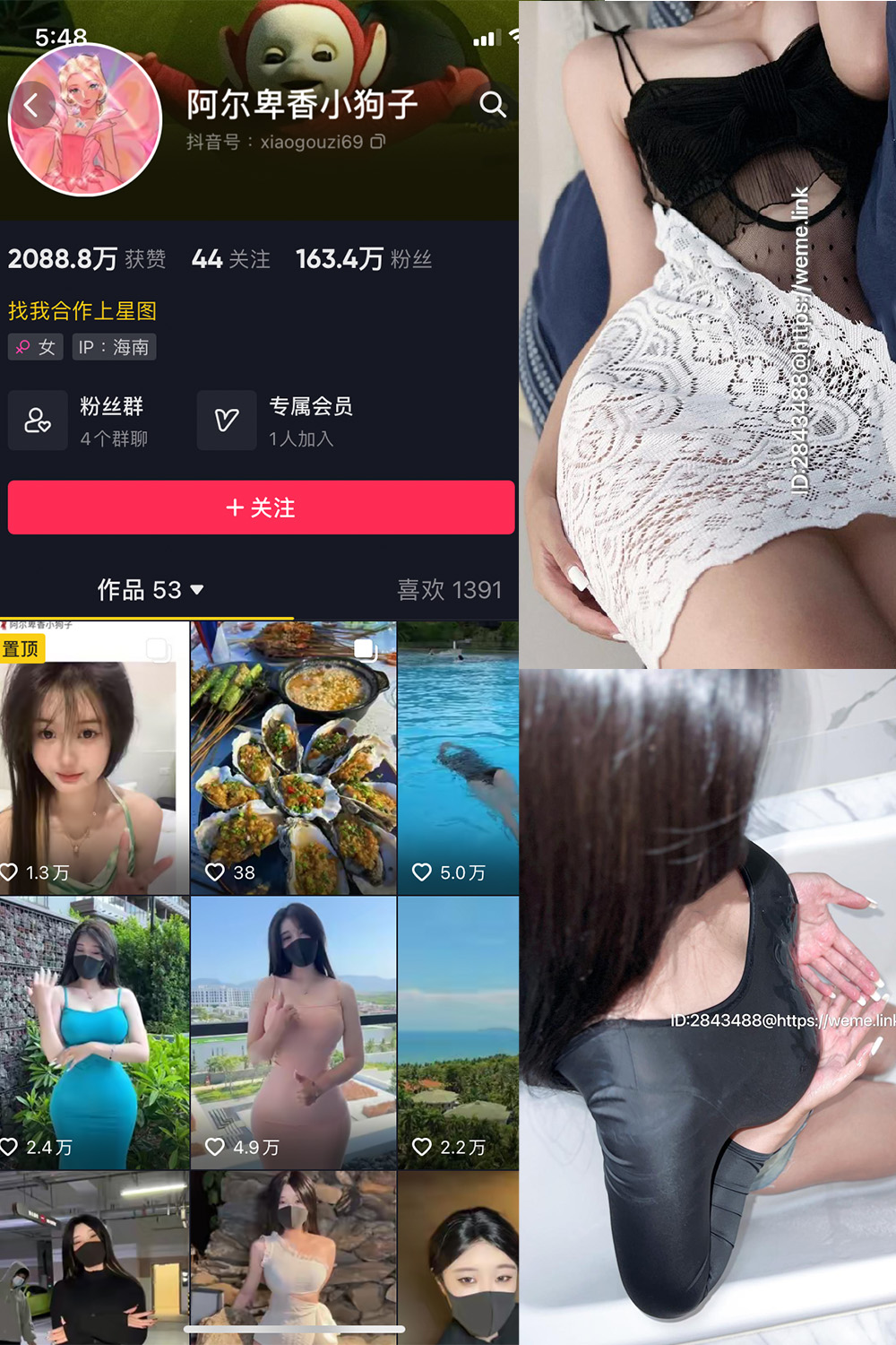 抖音 阿尔卑香小狗子 微密圈  NO.011期 【36P1V】最新至：2023.7.6-咪咪大车灯
