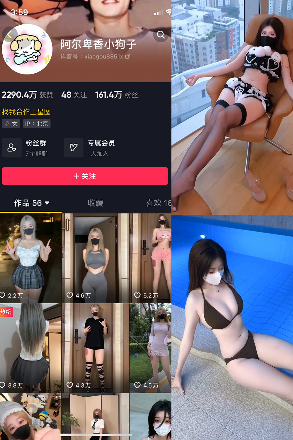 抖音 阿尔卑香小狗子 微密圈  NO.062期 【8V】最新至：2025.5.22-秀人网